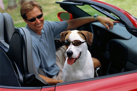 funny convertible car image - Man in Convertible with Dog Stock Photo - Rights-Managed, Code: 700-00161139