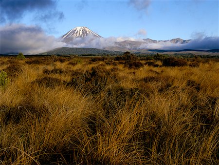 parc national de tongariro - Mt Ngauruhoe Tongariro National Park, New Zealand Photographie de stock - Rights-Managed, Code: 700-00161835