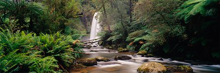 simsearch:600-02885951,k - Hopetoun Falls Otway National Park Victoria, Australia Fotografie stock - Rights-Managed, Codice: 700-00161866