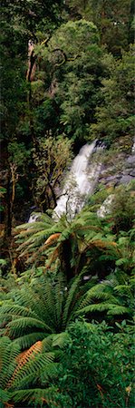 Triplet Falls Victoria, Australia Foto de stock - Con derechos protegidos, Código: 700-00161868