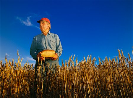 rural business owner - Farm Standing in Wheat Field Holding Loaf of Bread Stock Photo - Rights-Managed, Code: 700-00161979