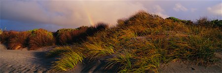 simsearch:614-03455017,k - Rainbow Behind Grassy Dune Foto de stock - Con derechos protegidos, Código: 700-00162998