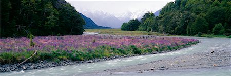 simsearch:700-00161806,k - River Flowing by Meadow Stock Photo - Rights-Managed, Code: 700-00163011