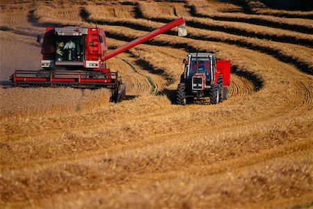 Combine Harvester and Tractor in Wheat Field Foto de stock - Con derechos protegidos, Código: 700-00163521