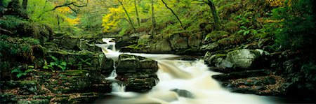 simsearch:700-06059802,k - Exmoor National Park Somerset, England Foto de stock - Con derechos protegidos, Código: 700-00163543