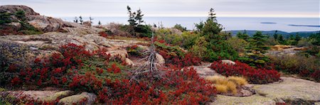 Cadillac Mountain Acadia National Park Maine, USA Stock Photo - Rights-Managed, Code: 700-00163963