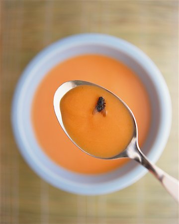 Fliegen in der Suppe Stockbilder - Lizenzpflichtiges, Bildnummer: 700-00178619