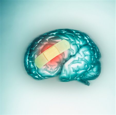 Brain with a Bandaid on it Fotografie stock - Rights-Managed, Codice: 700-00178787