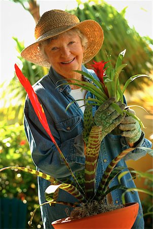 Woman Gardening Stock Photo - Rights-Managed, Code: 700-00178834