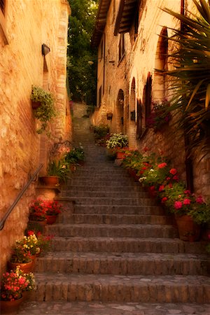 potted plants on stones - Staircase, Spello, Umbria Stock Photo - Rights-Managed, Code: 700-00184076