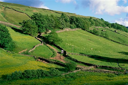 simsearch:700-00184377,k - Yorkshire Dales Yorkshire, England Foto de stock - Con derechos protegidos, Código: 700-00184377