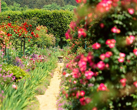 Monet's Garden France Stock Photo - Rights-Managed, Code: 700-00184437