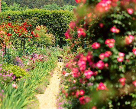France jardin de Claude Monet Photographie de stock - Rights-Managed, Code: 700-00184437