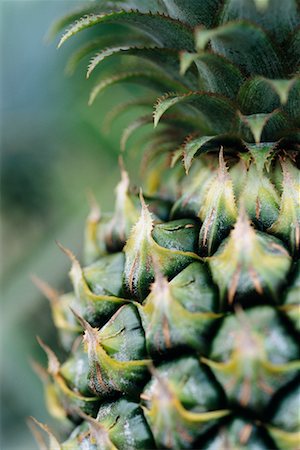 prickly object - Close-Up of Pineapple Stock Photo - Rights-Managed, Code: 700-00185197