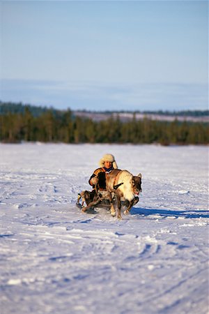 Laplander with Reindeer Lapland, Sweden Stock Photo - Rights-Managed, Code: 700-00186710