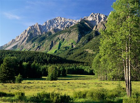 simsearch:700-00186805,k - Mountain and Forest Banff National Park Alberta, Canada Stock Photo - Rights-Managed, Code: 700-00186754