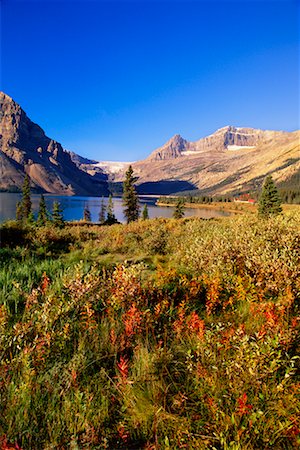 Bow Lake Banff National Park Alberta, Canada Stock Photo - Rights-Managed, Code: 700-00186772