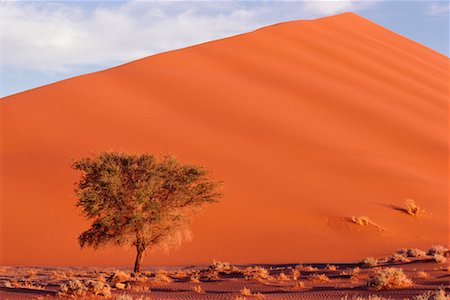 simsearch:700-00014764,k - Namibia, Afrika Stockbilder - Lizenzpflichtiges, Bildnummer: 700-00186846