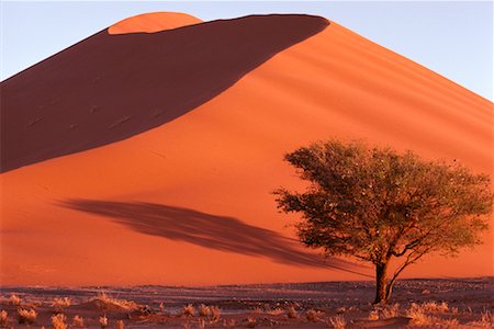 simsearch:700-00014764,k - Namibia, Afrika Stockbilder - Lizenzpflichtiges, Bildnummer: 700-00186847