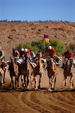 Alice Springs Camel Cup Race Northern Territory, Australia Stock Photo - Rights-Managed, Code: 700-00187142