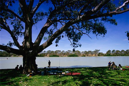 Menschen durch Riverbank Murray River Mannum, Südaustralien, Australien Stockbilder - Lizenzpflichtiges, Bildnummer: 700-00187174