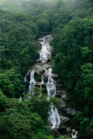 simsearch:700-01880089,k - Waterfall Daintree National Park Queensland, Australia Stock Photo - Rights-Managed, Code: 700-00187185