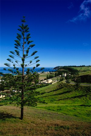 Kingston Historic Area Norfolk Island, Australia Stock Photo - Rights-Managed, Code: 700-00187187