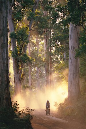 Cyclist Warren National Park Western Australia, Australia Stock Photo - Rights-Managed, Code: 700-00187190