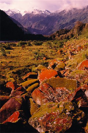 simsearch:700-01579501,k - Westland National Park South Island, New Zealand Foto de stock - Con derechos protegidos, Código: 700-00187241