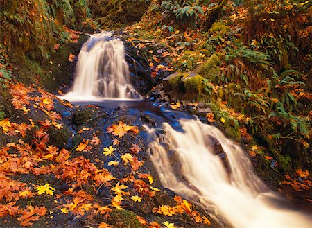 fall foliage in the columbia river gorge - Shepperds Dell Falls Columbia River Gorge Oregon, USA Stock Photo - Rights-Managed, Code: 700-00187457