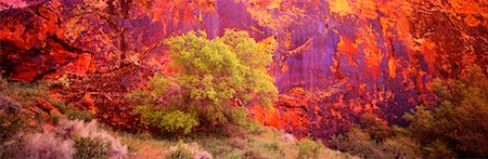 snow canyon state park - Snow Canyon State Park Utah, USA Stock Photo - Rights-Managed, Code: 700-00187462