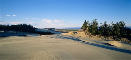 Dunes Oregon, USA Stock Photo - Rights-Managed, Code: 700-00187485