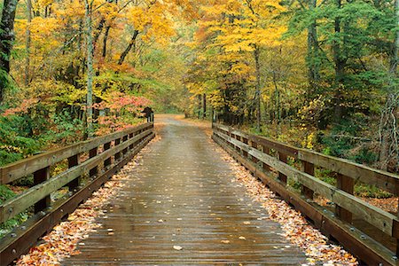 scenic tennessee not people - Bridge in Forest Great Smoky Mountains National Park Tennessee, USA Stock Photo - Rights-Managed, Code: 700-00187486