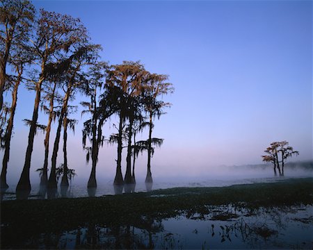 Lac Lafayette en Floride Photographie de stock - Rights-Managed, Code: 700-00187523