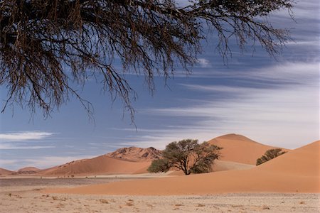 simsearch:700-00181989,k - Désert Sossusvlei, Namibie Photographie de stock - Rights-Managed, Code: 700-00188030