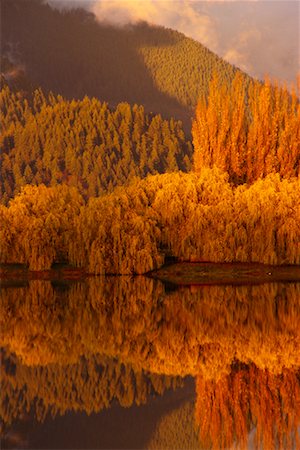 simsearch:700-00286011,k - Forest and Lake at Sunset in Autumn British Columbia, Canada Fotografie stock - Rights-Managed, Codice: 700-00188224