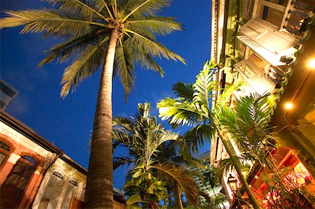 singapore building in the evening - Palm Trees Emerald Hill, Singapore Stock Photo - Rights-Managed, Code: 700-00188476