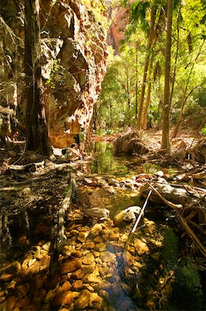 simsearch:700-00188499,k - El Questro Gorge, El Questro The Kimberley, Western Australia Australia Stock Photo - Rights-Managed, Code: 700-00188498