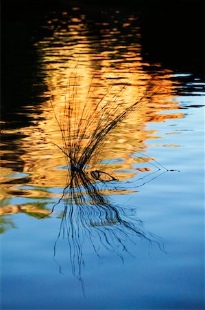 simsearch:700-00188499,k - Close-Up of Water with Ripples Stock Photo - Rights-Managed, Code: 700-00188550