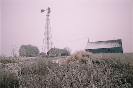 Farm South Dakota, USA Stock Photo - Rights-Managed, Code: 700-00188601