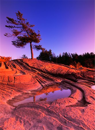 Parc Provincial Sunset Sturgeon Bay (Ontario), Canada Photographie de stock - Rights-Managed, Code: 700-00188631