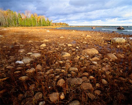 Georgian Bay Awenda Provincial Park Ontario, Canada Foto de stock - Direito Controlado, Número: 700-00188679