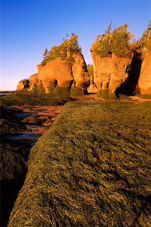Flowerpot Rocks Bay of Fundy, Hopewell Cape New Brunswick, Canada Foto de stock - Con derechos protegidos, Código: 700-00188724