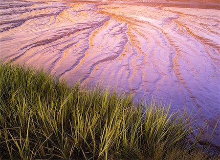 saladar - Salt Marsh Foto de stock - Con derechos protegidos, Código: 700-00188792