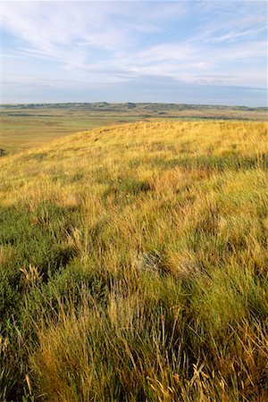 Grasslands National Park Saskatchewan, Canada Stock Photo - Rights-Managed, Code: 700-00188918