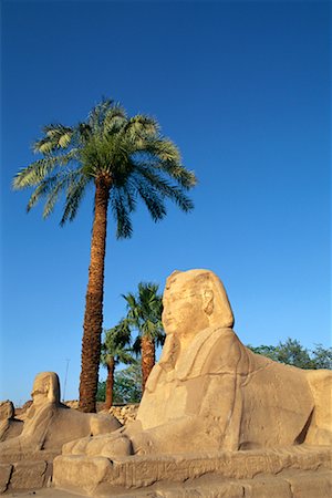 simsearch:700-00795911,k - Allee der Sphinxe Luxor Tempel Luxor, Ägypten Stockbilder - Lizenzpflichtiges, Bildnummer: 700-00189145