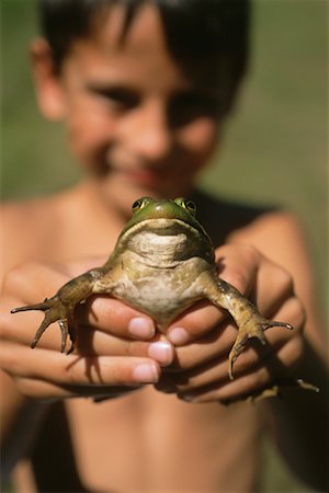 Boy Holding a Bullfrog Stock Photo - Rights-Managed, Code: 700-00189698