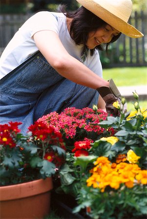 simsearch:700-01172940,k - Gardening Stock Photo - Rights-Managed, Code: 700-00181354