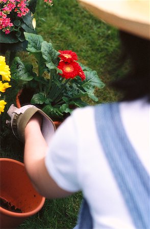 simsearch:700-01172940,k - Gardening Stock Photo - Rights-Managed, Code: 700-00181351