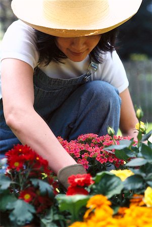 simsearch:700-01172940,k - Gardening Stock Photo - Rights-Managed, Code: 700-00181353